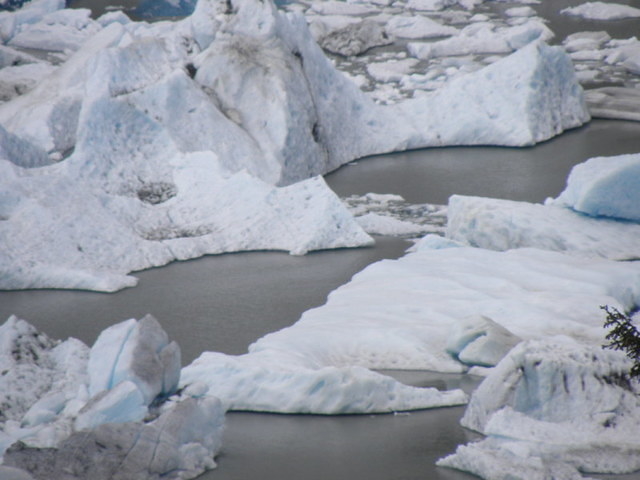 Juneau - Mendhenall Glacier