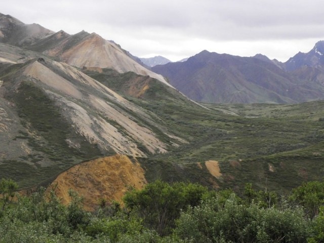 Denali N. Park