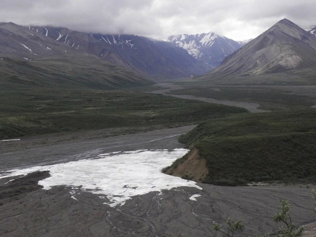 Denali N. Park