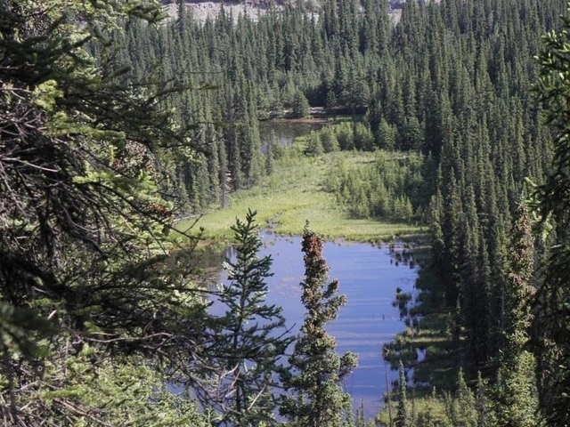 Denali N. Park