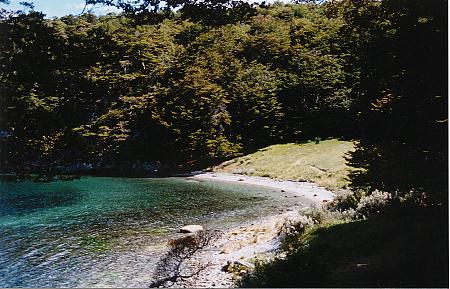 pata0143.JPG