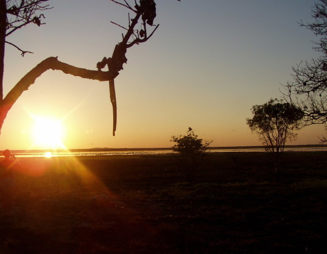 Kakadu