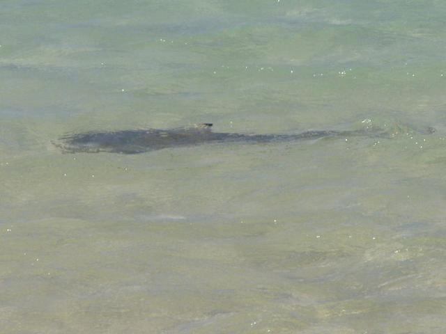 Coral Bay
