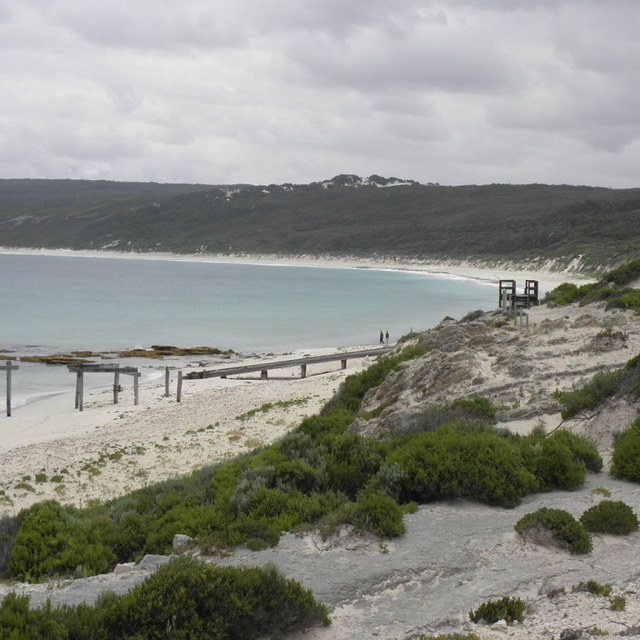 Augusta