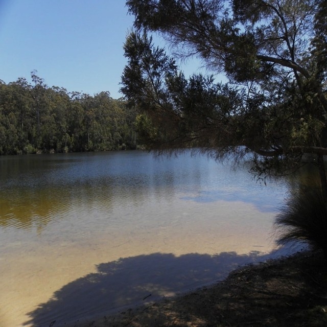 Pemberton