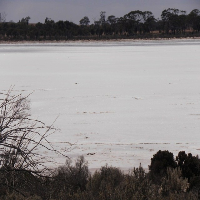 Lake Grace