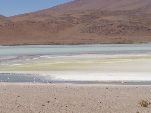 Lagunas