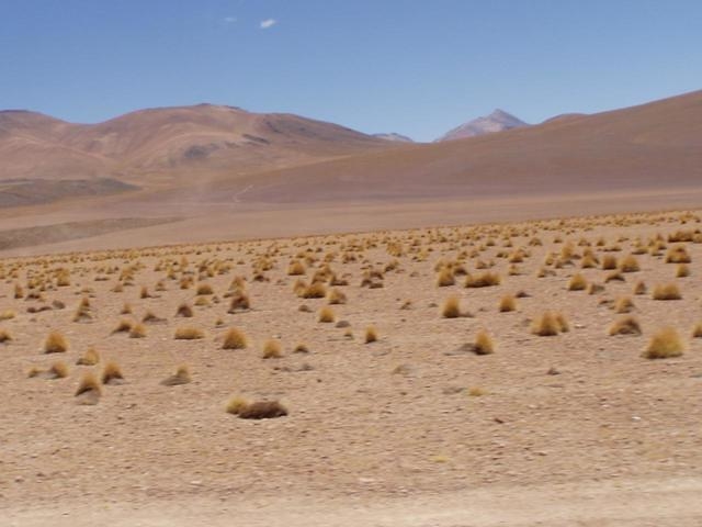 Lagunas