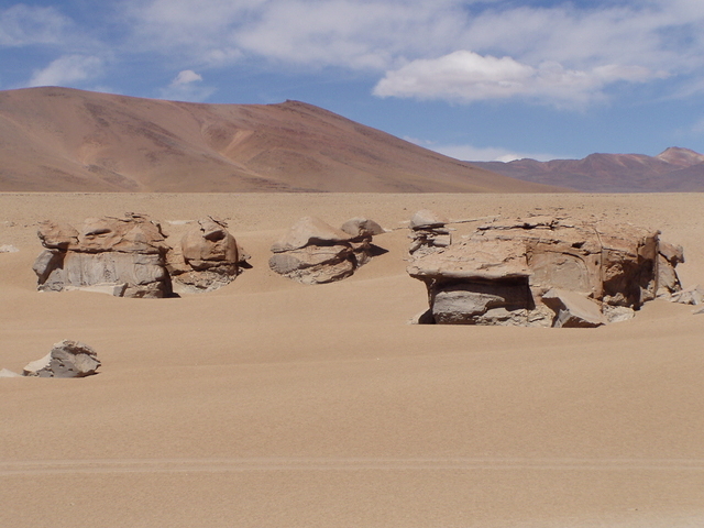 Lagunas