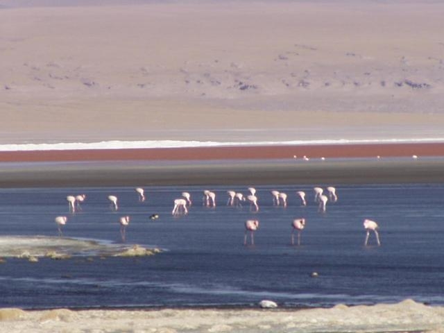 Lagunas