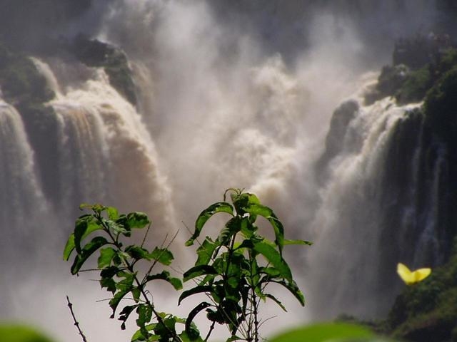 Iguaçu
