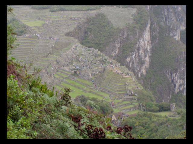 Machu Picchu