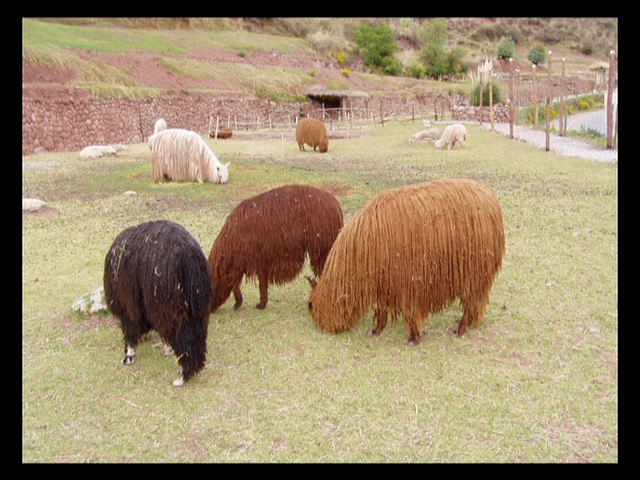 Valle Urubamba