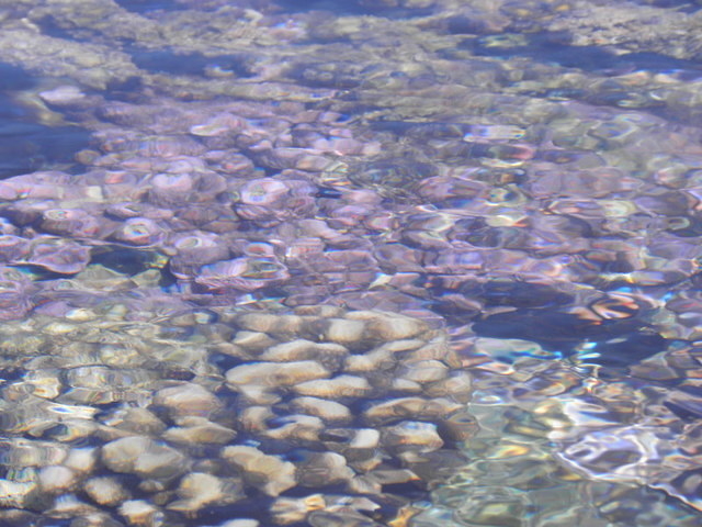 Tahaa
