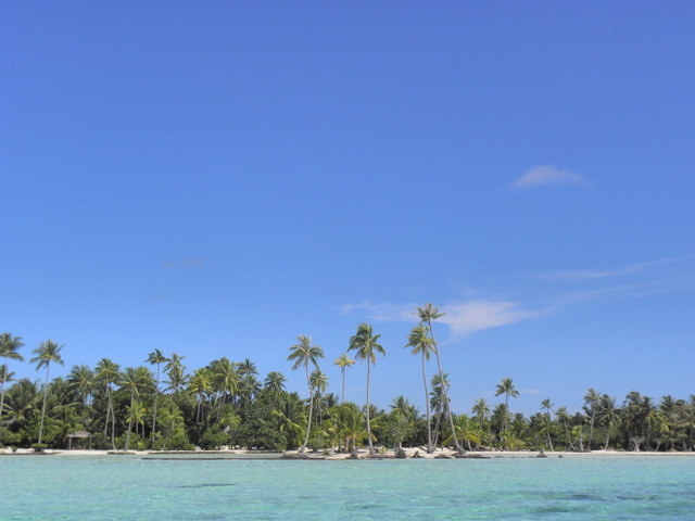 Tahaa