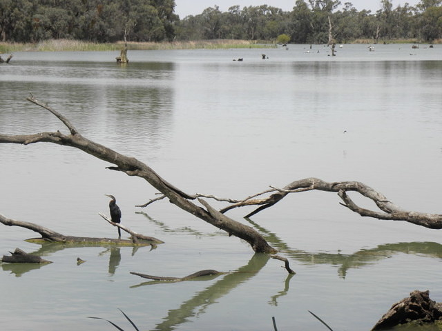 Mildura
