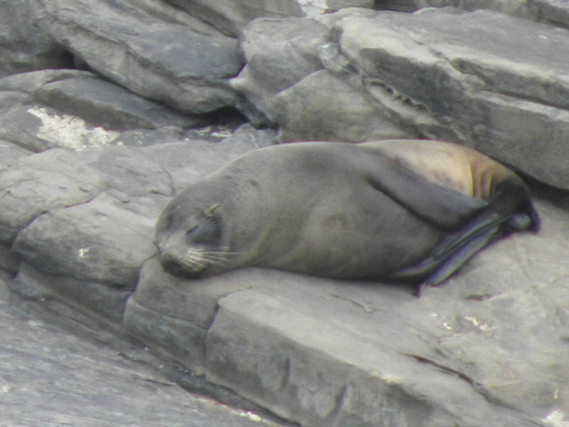 Kangaroo Island