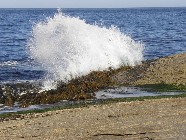 PB071057
