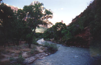 Zion N.P.