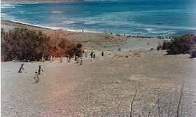 Penisola Valdes