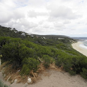 Augusta