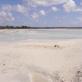 Pink Lake