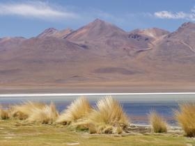 Lagunas