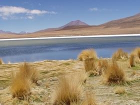 Lagunas