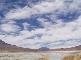Lagunas