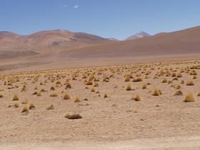 Lagunas