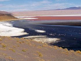 Lagunas