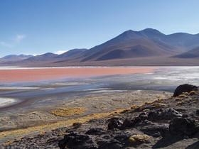 Lagunas