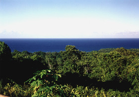 Jamaica