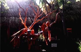 Yucatan