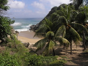 Mazunte