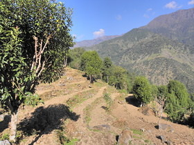 Nuntala-Kharikhola