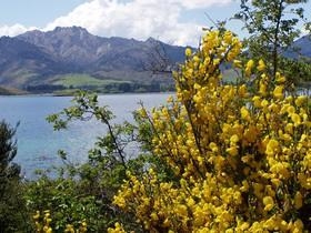Wanaka
