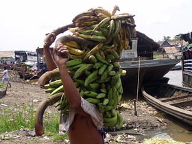 Iquitos