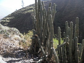Sendero catarata de Antankallo