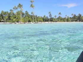 Tahaa