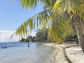 Moorea