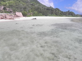 La Digue - Anse Fourmis
