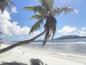 La Digue - Anse Fourmis