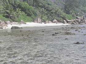 La Digue walking to Anse Caiman