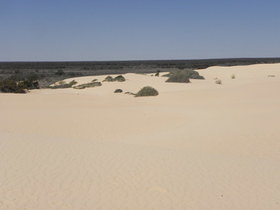 Mildura - Mungo N.P.