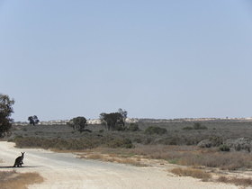 PA180220