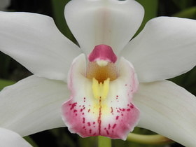 PB020735