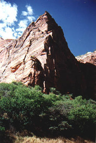 Zion N.P.