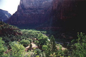 Zion N.P.